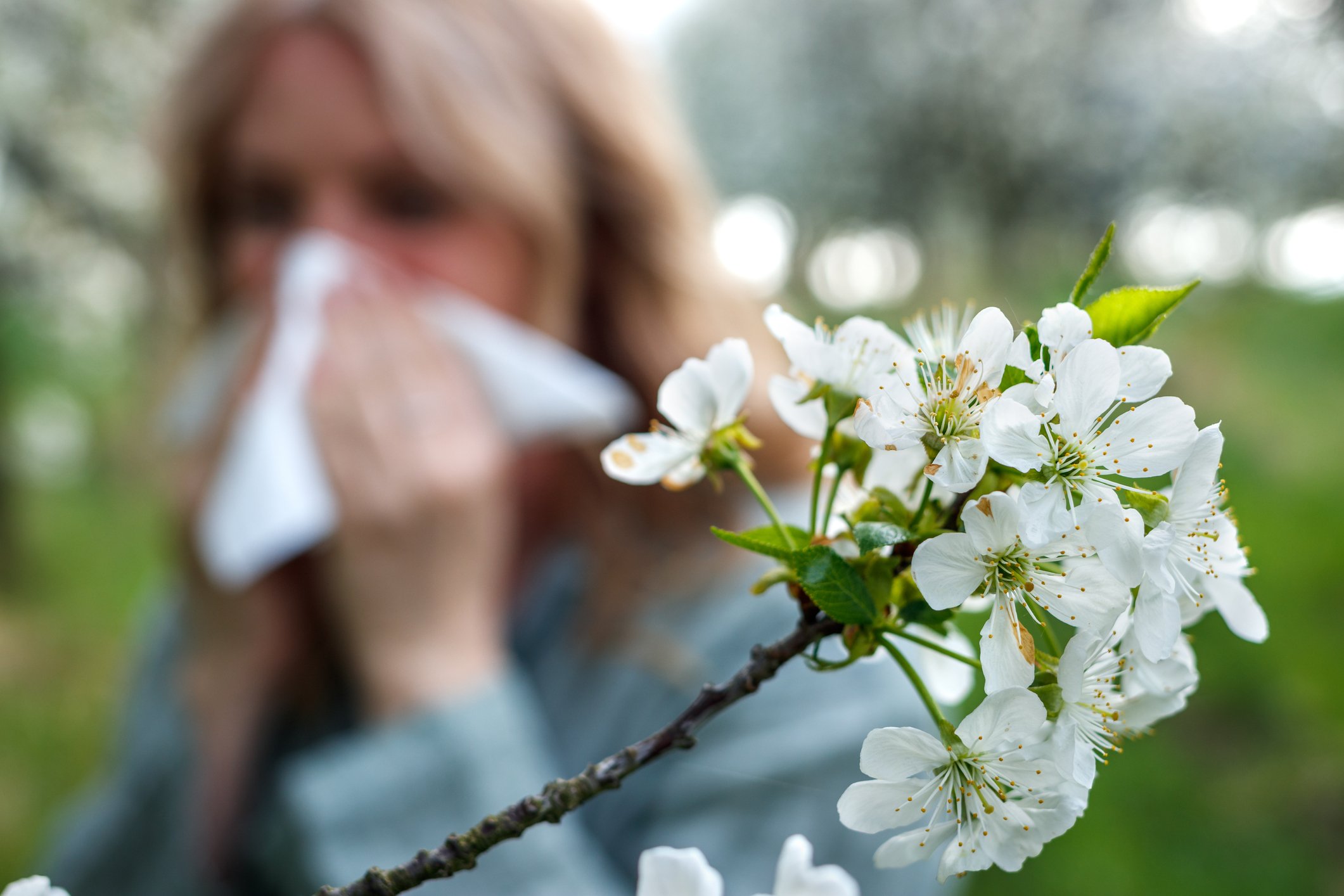 As 3 Alergias Sazonais Que Mais Afetam As Pessoas Mega Curioso 3289