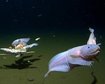 thumb-image-2024-02-29T14:06:47.926Z