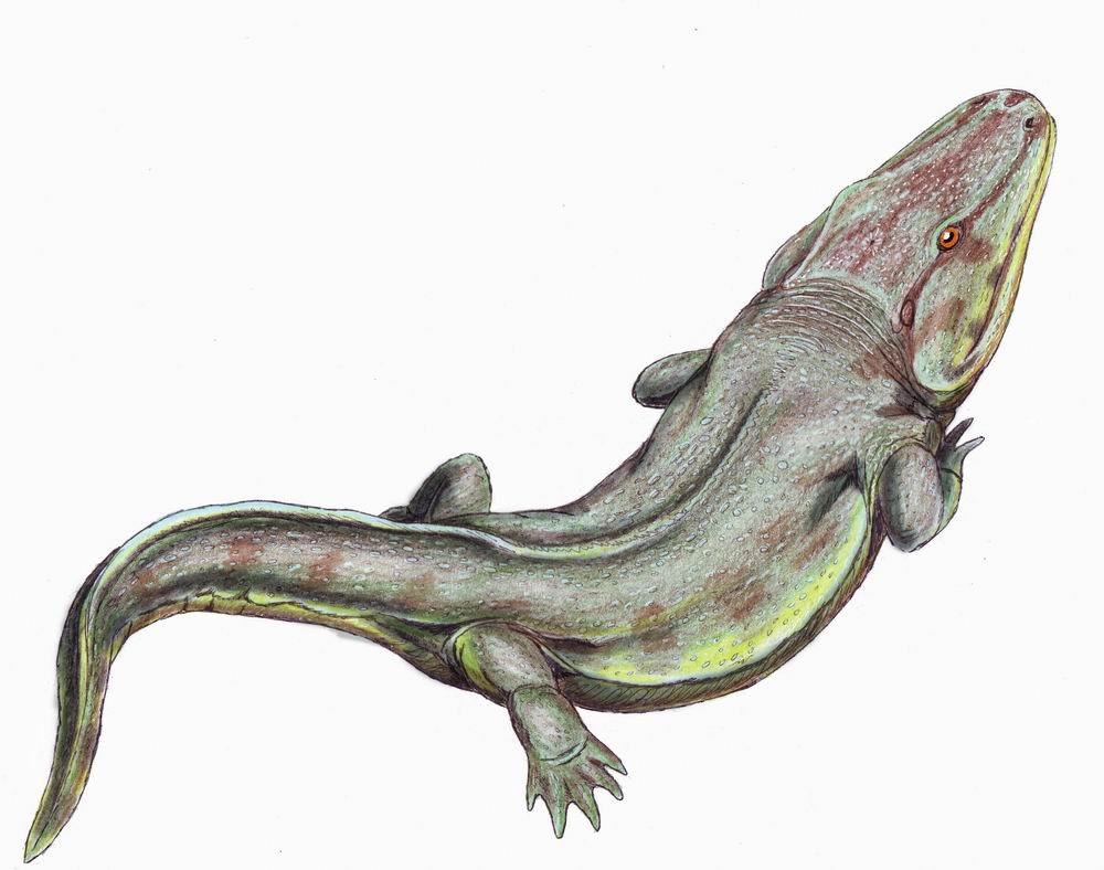 Pegadas indicavam que animal pré-histórico tinha dois metros de comprimento. (Fonte: Wikimedia/Dmitry Bogdanov)