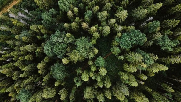 (Fonte: Unsplash)