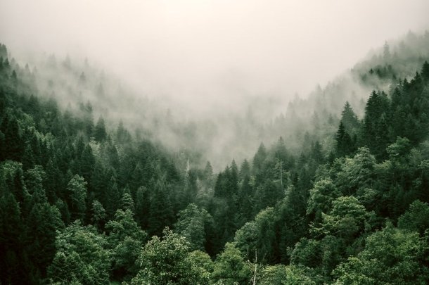 (Fonte: Unsplash)