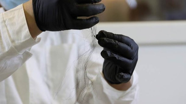 DNA do material coletado pode ser insuficiente para realizar clonagem com sucesso