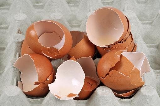 Cascas de ovos são verdadeiras aliadas da maioria dos vegetais