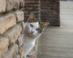 thumb-image-2024-02-29T14:06:50.134Z