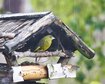 thumb-image-2024-02-29T14:06:50.313Z