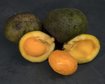 thumb-image-2024-02-29T14:06:50.722Z