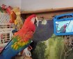 thumb-image-2024-02-29T14:06:50.914Z