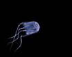 thumb-image-2024-02-29T14:06:50.934Z