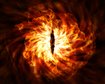 thumb-image-2024-02-29T14:06:52.772Z