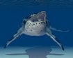 thumb-image-2024-02-29T14:06:53.491Z