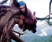 thumb-image-2024-02-29T14:06:55.571Z