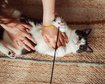 thumb-image-2024-02-29T14:06:56.655Z