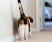 thumb-image-2024-02-29T14:06:56.875Z