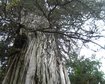 thumb-image-2024-02-29T14:06:56.888Z