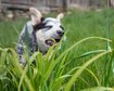 thumb-image-2024-02-29T14:06:56.996Z