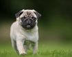 thumb-image-2024-02-29T14:06:57.947Z