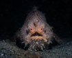 thumb-image-2024-02-29T14:06:58.637Z