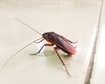 thumb-image-2024-02-29T14:06:58.852Z