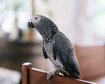 thumb-image-2024-02-29T14:06:58.862Z