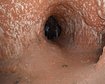 thumb-image-2024-02-29T14:06:59.424Z