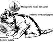 thumb-image-2024-02-29T14:06:59.876Z