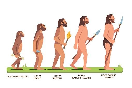A evolução humana pode ter sido mais complexa e diversa do que imaginávamos