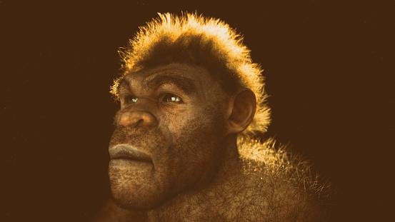Características físicas mais brutas do neandertal podem ter sido obra do acaso, e não necessariamente para garantir vantagens evolutivas
