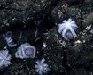 thumb-image-2024-02-29T14:07:00.649Z