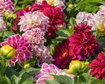 thumb-image-2024-02-29T14:07:00.809Z