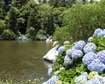 thumb-image-2024-02-29T14:07:01.177Z