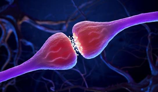 Células nervosas enviam mensagens químicas através do axônio, espaço entre o fio de saída e o fio receptor.