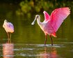 thumb-image-2024-02-29T14:07:03.352Z