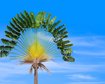 thumb-image-2024-02-29T14:07:03.439Z