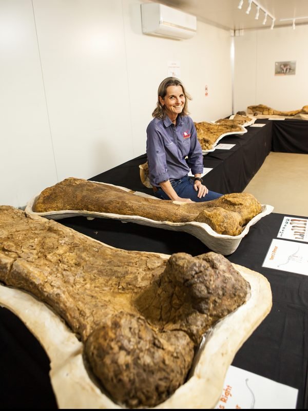 Os ossos de Cooper estão no museu Eromanga, na Austrália. (Fonte: Eromanga National History Museum / Divulgação)