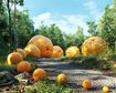 thumb-image-2024-02-29T14:07:04.514Z