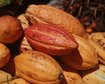 thumb-image-2024-02-29T14:07:04.670Z