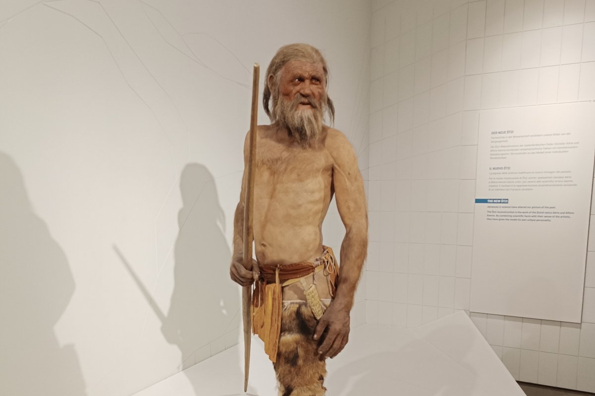 6 fatos interessantes sobre Ötzi, a múmia do gelo mais famosa da Idade do  Bronze - Mega Curioso