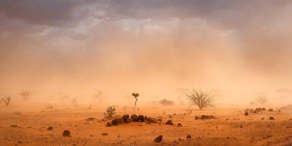 A seca na Somália está cada vez mais severa. (Fonte: GettyImages / Reprodução)
