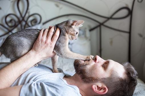 É preciso respeitar o espaço do gato para demonstração de carinho. (Fonte: GettyImages)