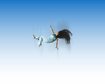 thumb-image-2024-02-29T14:07:06.042Z