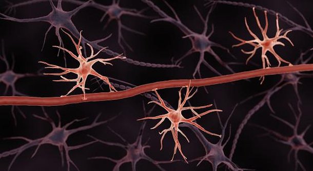 Astrócitos alimentam os neurônios. Fonte: Getty Images