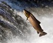 thumb-image-2024-02-29T14:07:06.828Z