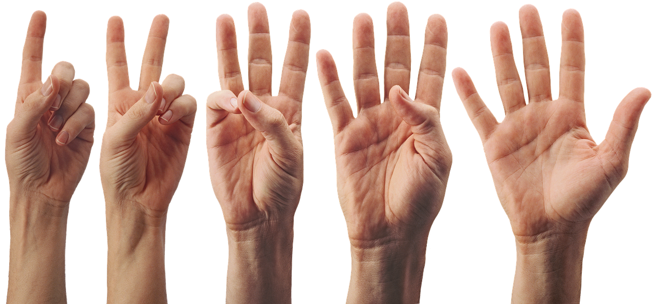 Com mais dedos, a contagem seria diferente. (Foto: Pixabay)