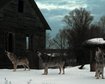 thumb-image-2024-02-29T14:07:07.394Z