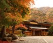 thumb-image-2024-02-29T14:07:07.456Z