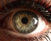 thumb-image-2024-02-29T14:07:07.921Z