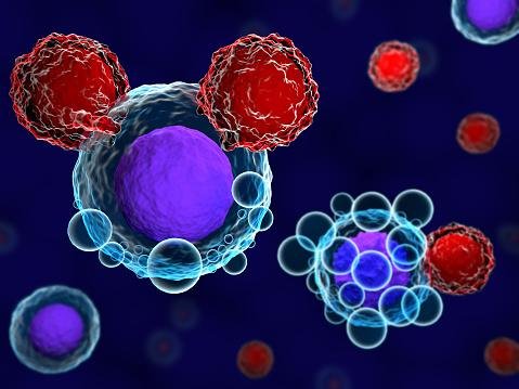 Células T são responsáveis por proteger nosso sistema imunológico contras diversos invasores. (Fonte: GettyImages / Reprodução)