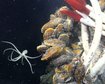 thumb-image-2024-02-29T14:07:08.309Z