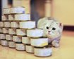 thumb-image-2024-02-29T14:07:08.320Z