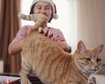 thumb-image-2024-02-29T14:07:08.611Z